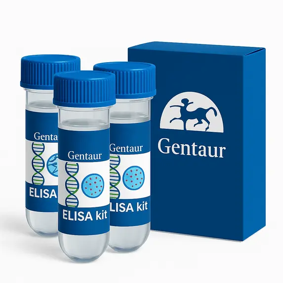 Porcine Albumin ELISA Kit 1 Kit (96 Wells) - 1 Kit