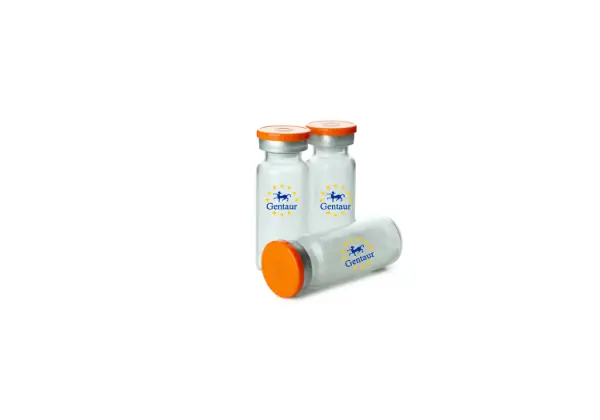 Vimentin Human, GST