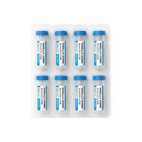 Bacteroides fragilis derived from NCTC 9343