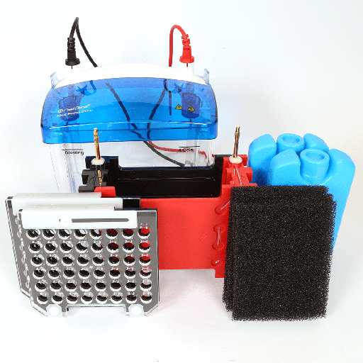[SK6S148] Western Blot Complete System