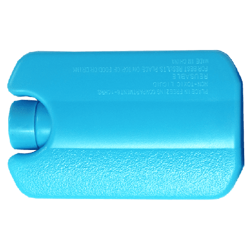 [SK6S149] Western Blot Cool Pack