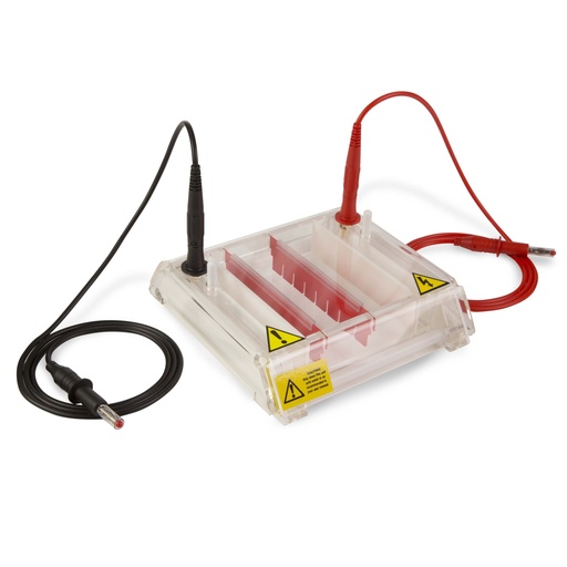 [SK6S165] MiniRapide Gel Tank 10 x 8cm, Including 2 x 8 Sample Combs 1.5mm Thick and Casting Dams