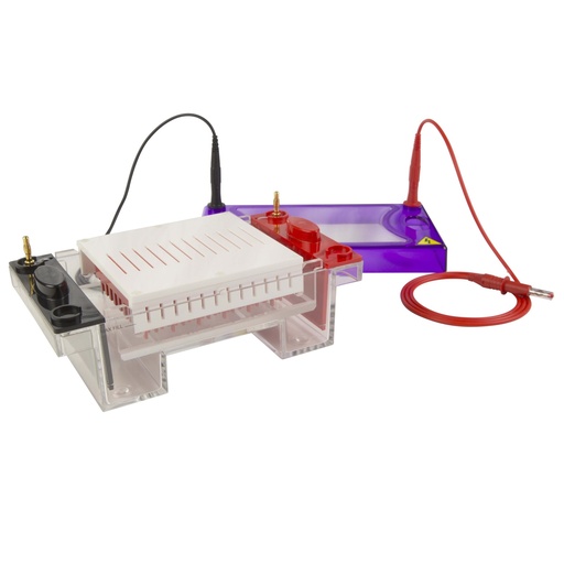 [SK6S175] MultiSUB Midi96 Gel Tank, UV Tray, Comb Block with 12 x 8 Sample, 1mm Thick Combs, Casting Dams
