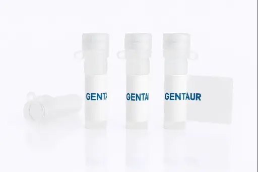 [pept25sk10526] HLA-C*0304 KRAS G12D Complex, Human (GADGVGKSAL, HEK293, His-Avi)