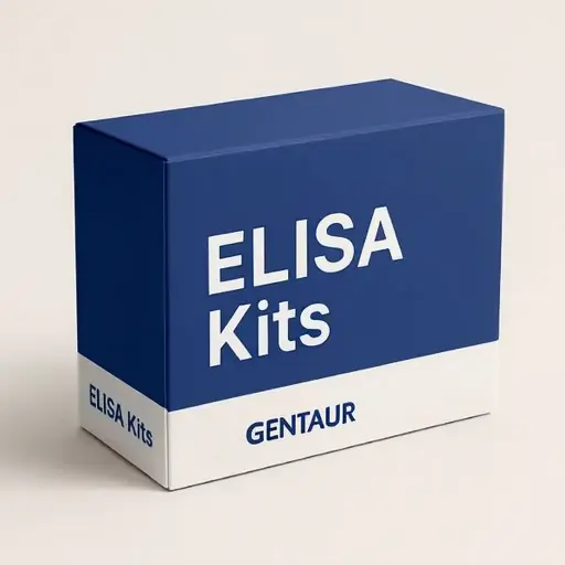 [elisa-sk19364] Human Endothelin Receptor B (ETRB) ELISA Kit