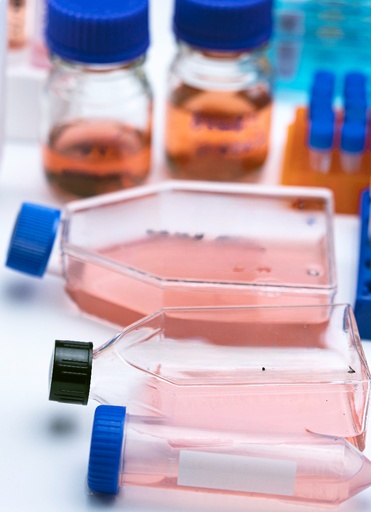 [GEN - CSI102Ra01-500k] Primary OB Cell, Rat