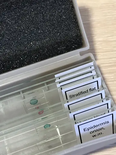 [GEN-MS-CS-90] Positive Charged Microscope Slides for Cells, Frozen and Paraffin-Embedded Sections