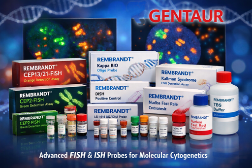 [C743K.3000.05] REMBRANDT® LSI 15q11.2-FISH orange detection assay